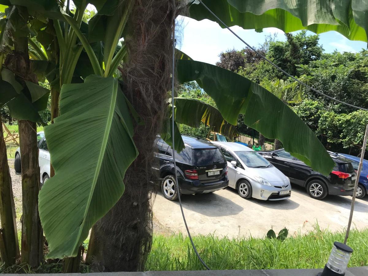 Guest House Botanical Paradise Mtsvane Kontskhi Bagian luar foto